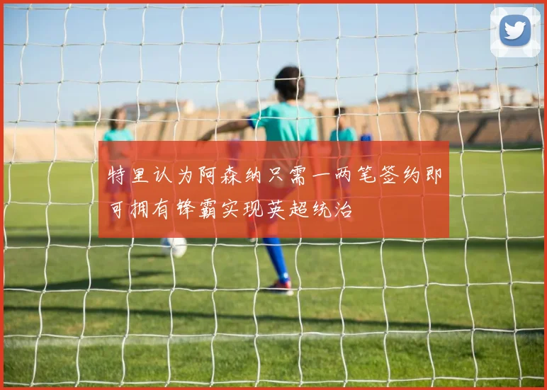特里认为阿森纳只需一两笔签约即可拥有锋霸实现英超统治